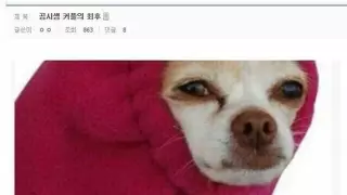 공시생 커플의 최후