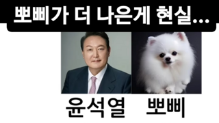 윤석열 VS 뽀삐