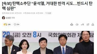 [속보] 탄핵소추단 “윤석열, 거대한 반격 시도…반드시 탄핵 심판”