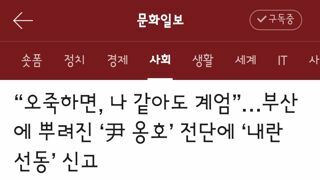 오죽하면, 나 같아도 계엄”…부산에 뿌려진 ‘尹 옹호’ 전단에 ‘내란 선동’ 신고