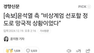 [속보]윤석열 측 “비상계엄 선포할 정도로 망국적 상황이었다”