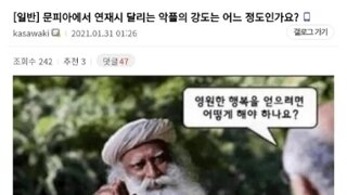 웹소설 작가들이 받는 리플