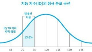 인구의 13.6%는?