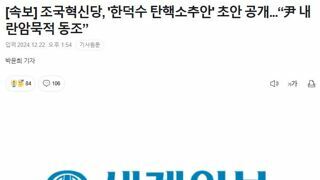 [속보] 조국혁신당, '한덕수 탄핵소추안' 초안 공개...“尹 내란암묵적 동조”