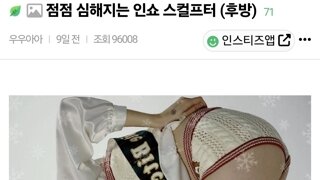 ㅎㅂ) 점점 심해진다는 여성복 인터넷쇼핑몰