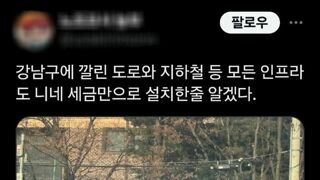 자치구 독립을 원하는 듯한 '일부' 강남구민들