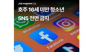 '16세 미만 SNS 금지법' 통과된 호주 근황