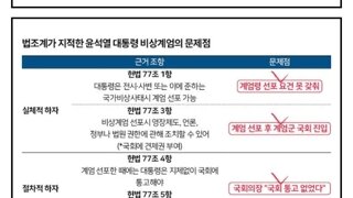 12.3은 '계엄'말고 '내란'이라 해야 맞습니다.