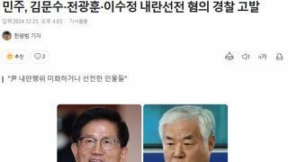 민주, 김문수·전광훈·이수정 내란선전 혐의 경찰 고발