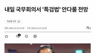 내일 국무회의서 '특검법' 안다룰 전망