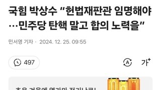 국힘 박상수 “헌법재판관 임명해야···민주당 탄핵 말고 합의 노력을”