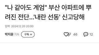 혈압주의) 부산에 뿌려진 전단지 