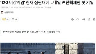 윤석열이 노리는것은 이거 아닐까