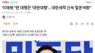 결국 이재명 대표가 나서야 사태가 수습 되네요