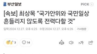 [속보] 최상목 “국가안위와 국민일상 흔들리지 않도록 전력다할 것”