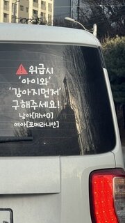 강아지가 운전자보다 먼저??