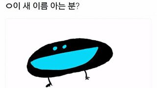 이 새 이름 아시는 분?