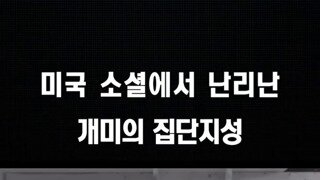 개미들의 협동심