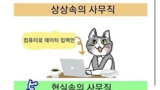 중소기업 사무직의 현실