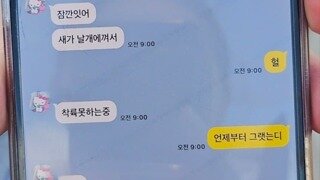 사고기 탑승객 카톡(새가 날개에 껴서 착륙 못하는중)