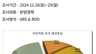 내란당 차기대권 후보 순위