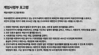 이 포고령 지지하는 사람들이 독재,북한,시진핑 이딴소리하는거 개짜침