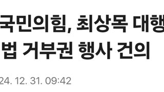 [속보]국민의힘, 최상목 대행에 내란특검법 거부권 행사 건의