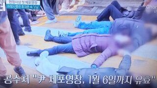 관저 앞 몸싸움,드러눕기 시작