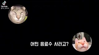 소리 On) 남동생에게 심부름 시키는 누나