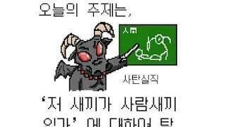 '새는 사람 죽이잖아요'…참사를 이용하는 캣맘들