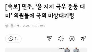 민주, ‘윤 지지 극우 준동 대비’ 의원들에 국회 비상대기령