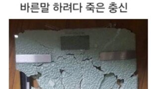 바른말 하려다 죽은 충신