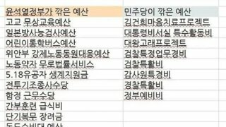 펌) 논란 많은 국힘 vs 민주당 삭감 예산 비교