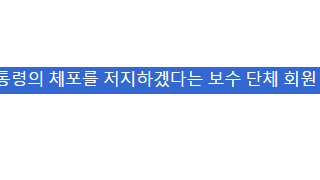 관저 일대 찬반 집회 3만명 집결!