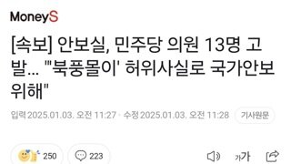 [속보] 안보실, 민주당 의원 13명 고발… 