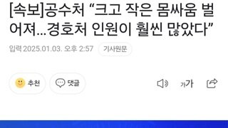 [속보]공수처 “크고 작은 몸싸움 벌어져…경호처 인원이 훨씬 많았다”