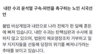 노인단체 시국선언 “윤석열 지킨다는 노인들, 더는 추태 부리지 마라”