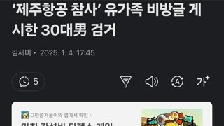 ‘제주항공 참사’ 유가족 비방글 게시한 30대男 검거