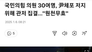 집권여당 국민의 힘 근황