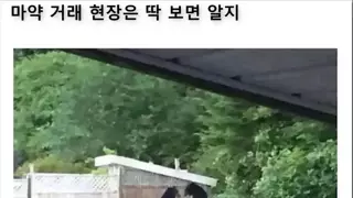 수상하게도 치와와 사이즈 강아지 발 세척기를 찾는 사람.jpg