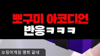 약혐?)뽀구미 아코디언 본인반응