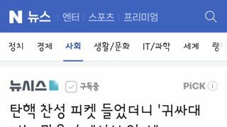 탄핵 찬성 피켓 들었더니 '귀싸대기'…맞은 女 