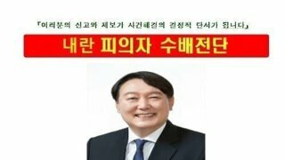 디씨에서 만든 수배전단