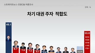 차기 대권 주자 적합도