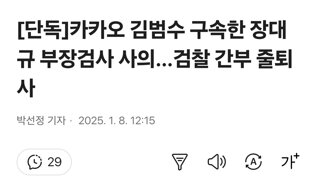 [단독]카카오 김범수 구속한 장대규 부장검사 사의…검찰 간부 줄퇴사