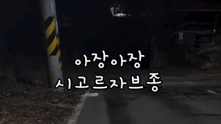 아장아장 시고르자브종.mp4