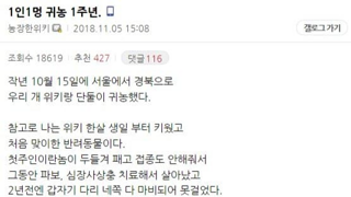 1인 1멍 귀농한 디시인