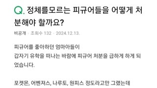 엄마아들 유학갔으니 피규어 200개를 처분하려고 합니다.