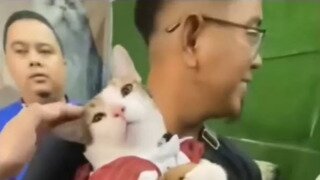 인형 뺐으면 삐지는 고양이.mp4...