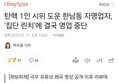 썸네일 이미지